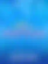 Fruit Flash