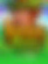 Rainbow Reels™