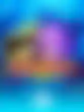 dolphinop