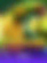 Toucan