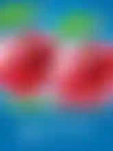 Twin Fruits