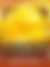 Get the Gold INFINIREELS