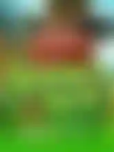 Legend's Luck