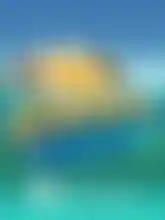Golden Catch