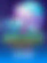 Rocket Reels