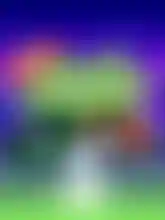 greenlight