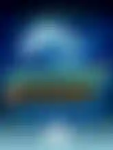 Dolphin Reef