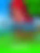 Quad Link Red
