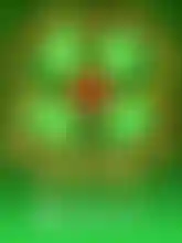 Four Lucky Clover