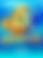 Happy Fish