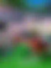 Virtual Sport