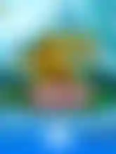 5koideluxe
