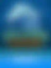 Dolphin Reef