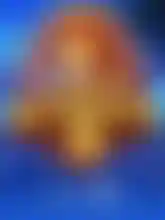 The Ultimate 5™