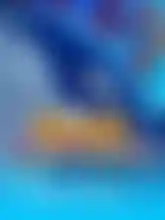 Orca's Wild Bonanza