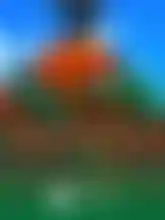 Volcano Adventure