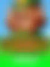 Leprechaun Goes Wild