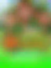 3 Lucky Leprechauns