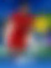 WBET SPORTS