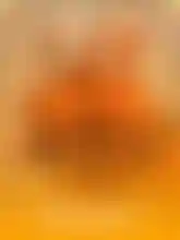 Shaolin Fortunes 100