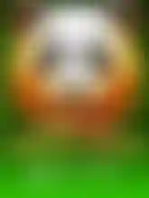Panda Hold And Spin NO PJP