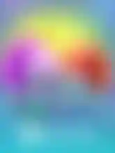 Wild Portals