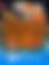 Lucky Koi