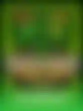 Expanding Master