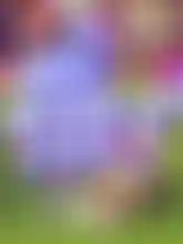 World Cup