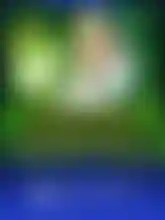 Wizard winfall