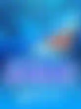 Shark!