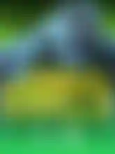 Jungle Gorilla
