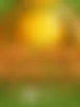 Golden Ball
