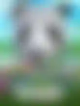 Wild Giant Panda