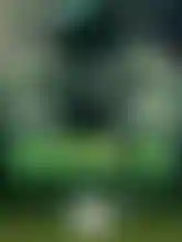 thehulk